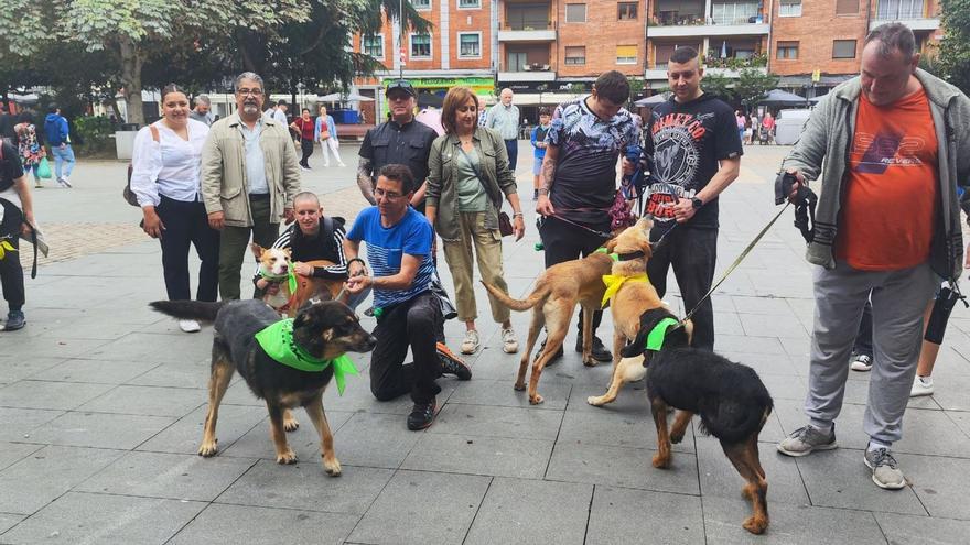Voluntarios y miembros del gobierno local, junto a algunos canes en el parque Jovellanos. | A. Velasco