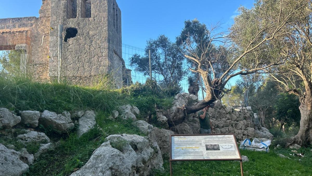 Una imagen del muro talayótico,  en primer plano, y la ermita de Crist Rei.