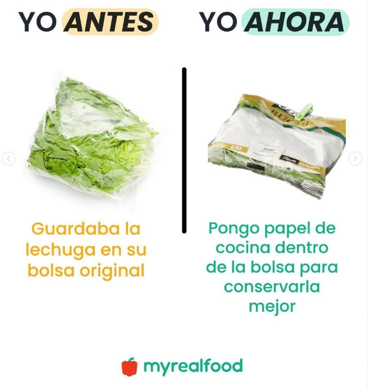 Meter papel de cocina junto a la lechuga ayudará a conservarla mejor.