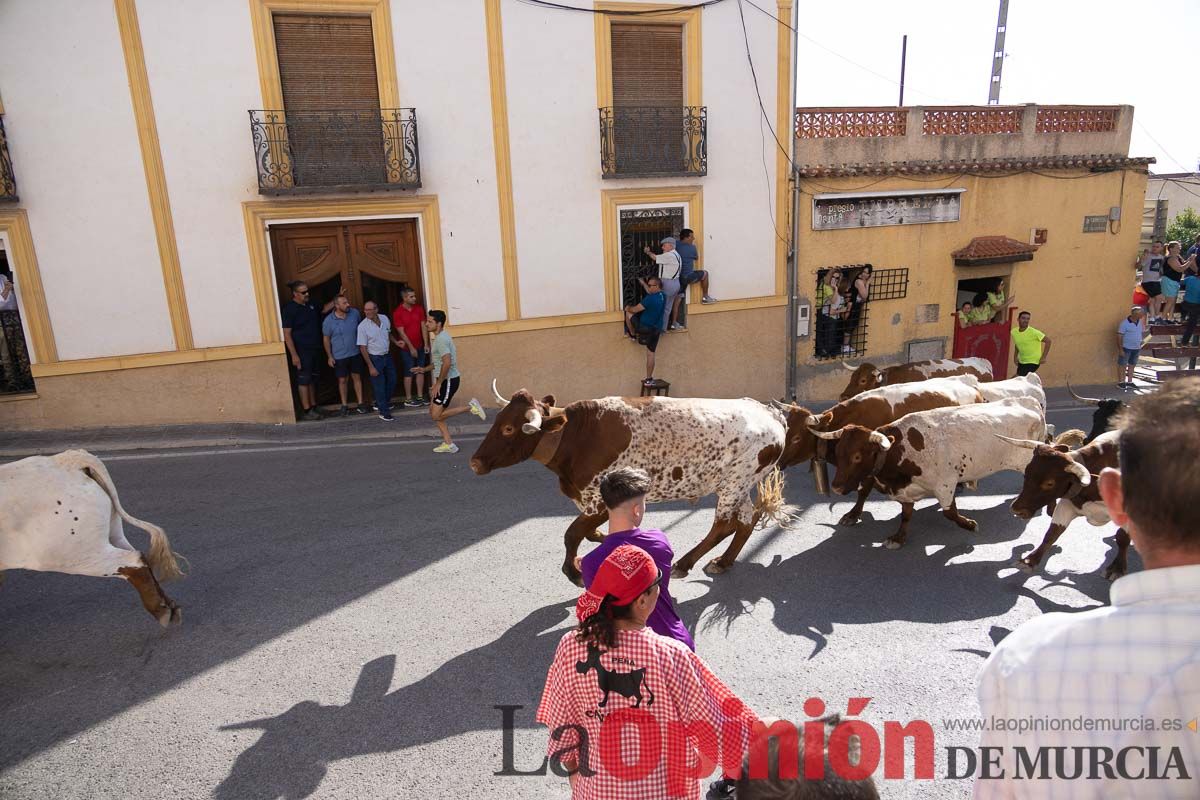 Quinto encierro Moratalla