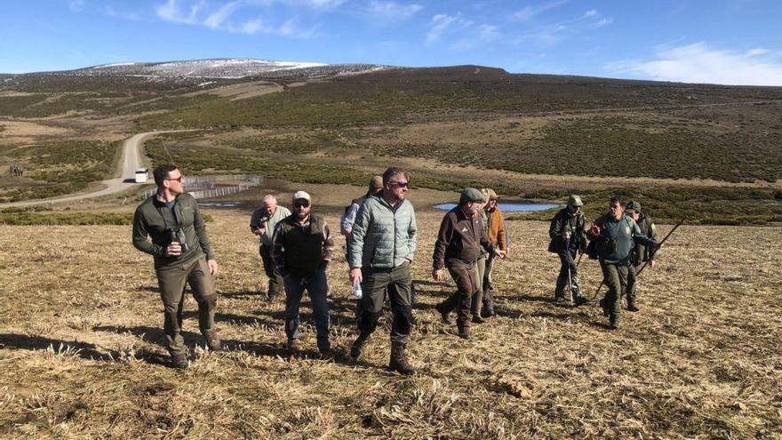 Expertos de Europa y Estados Unidos estudian en Sanabria el proyecto de conservación de la perdiz pardilla