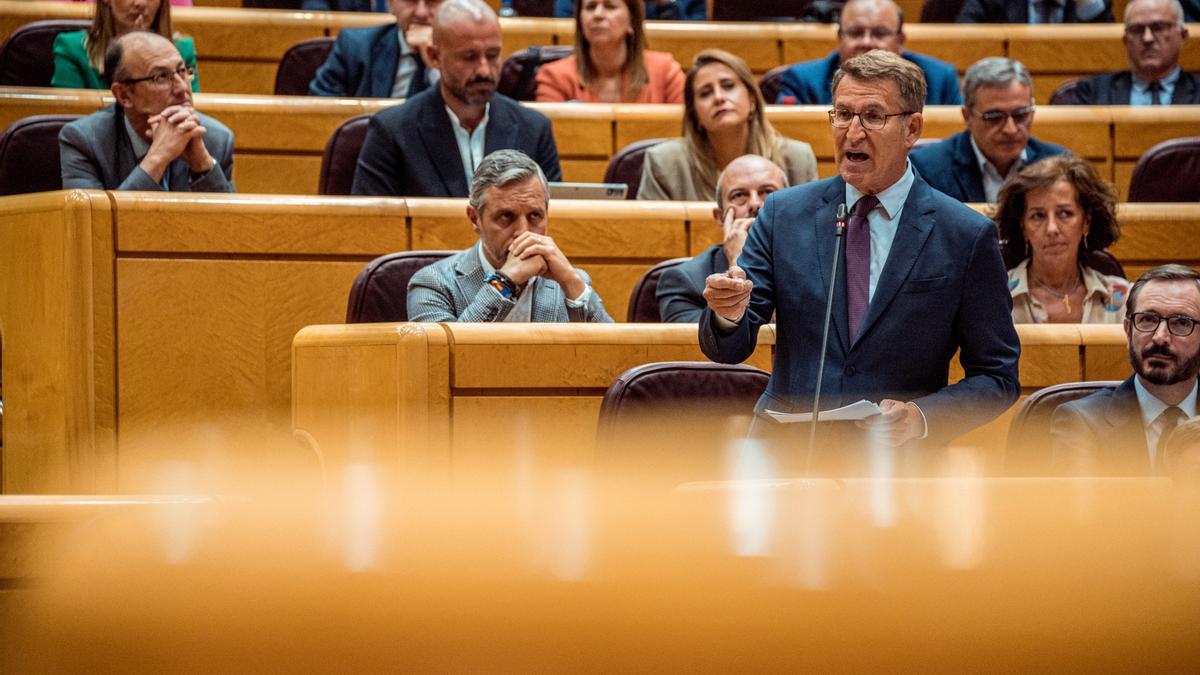 El presidente del PP, Alberto Núñez Feijóo, en el Senado, este martes.