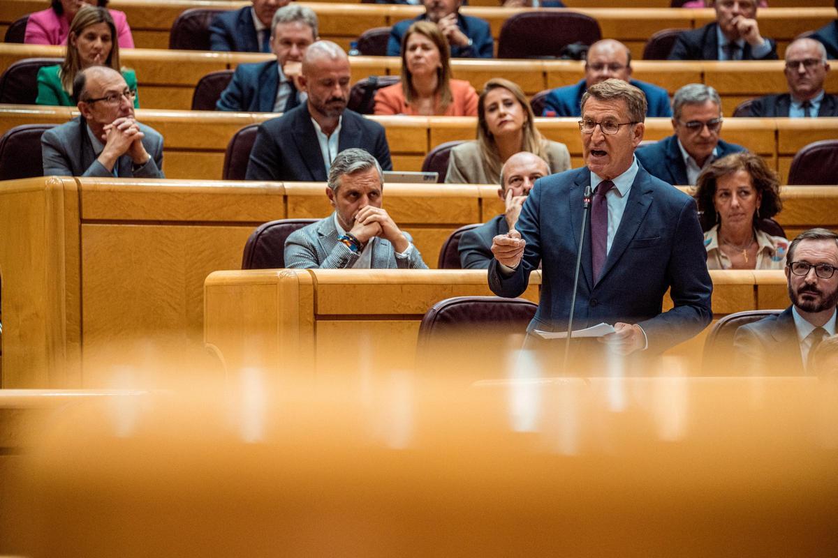 El presidente del PP, Alberto Núñez Feijóo, en el Senado, este martes.