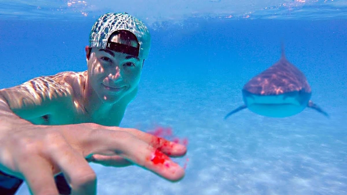 Un youtuber quiso comprobar si a los tiburones les atrae la sangre humana