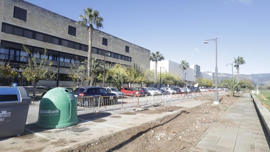 La UIB &#039;sacrifica&#039; nueve árboles para instalar placas para la recarga de vehículos eléctricos