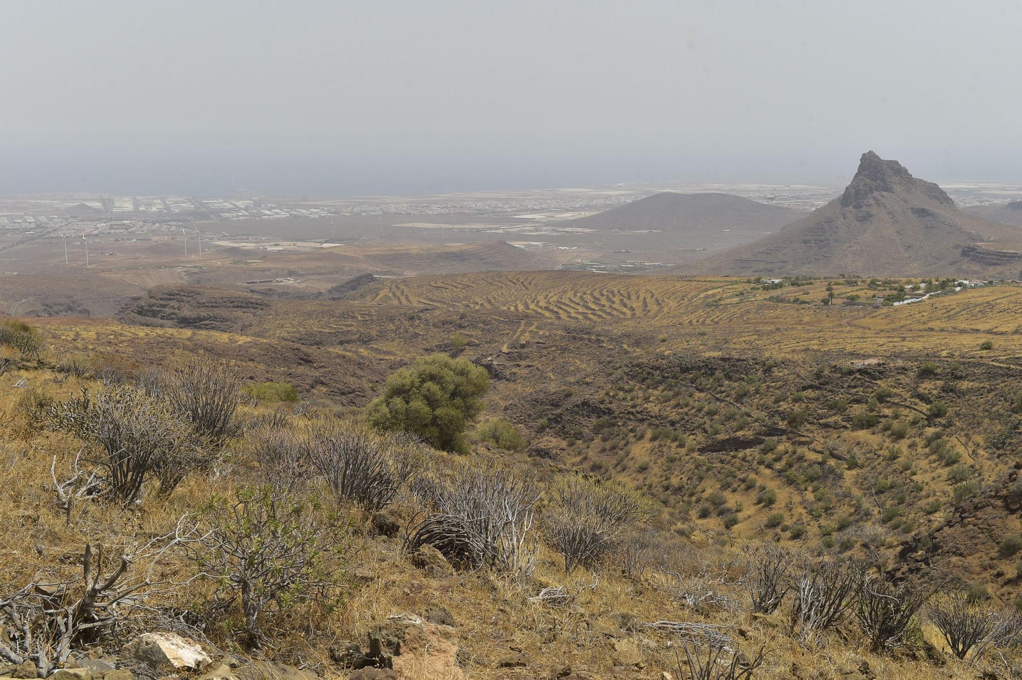 Tiempo en Gran Canaria (14/08/2021)