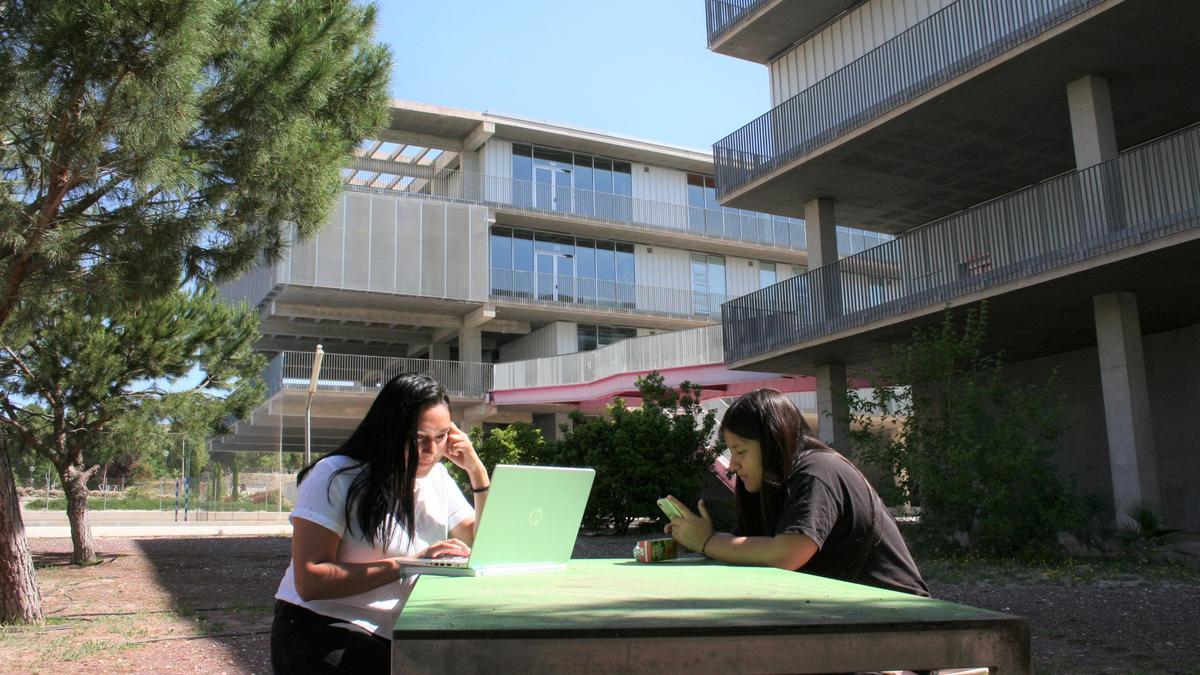 Dos universitarias estudian en el jardín del Campus Universitario de Lorca.