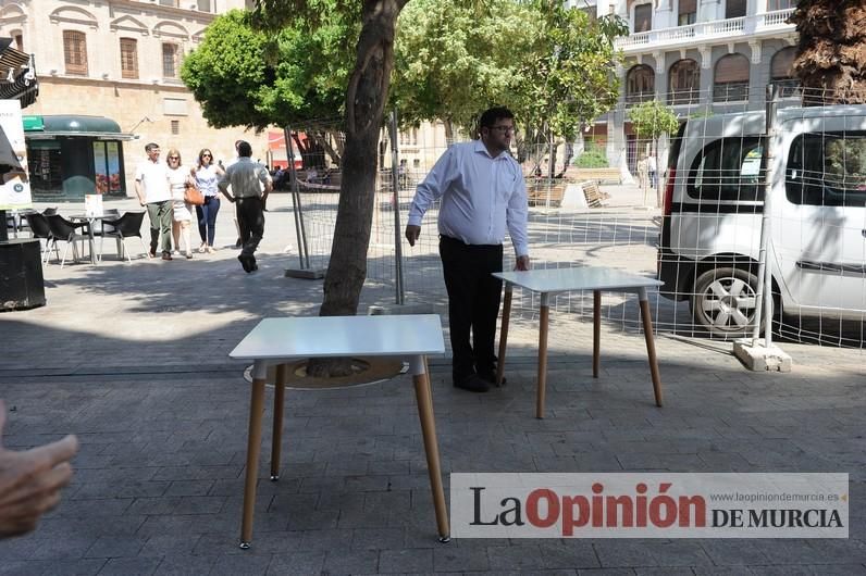 El estado final del ficus de Santo Domingo