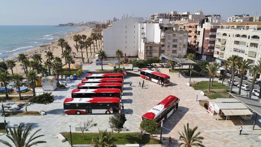 Avanza renueva el 50% de la flota del bus urbano en Torrevieja con siete nuevos vehículos