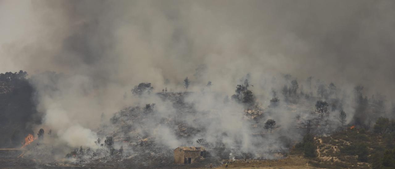 FOTOGALERÍA | El incendio forestal en Nonaspe, en imágenes