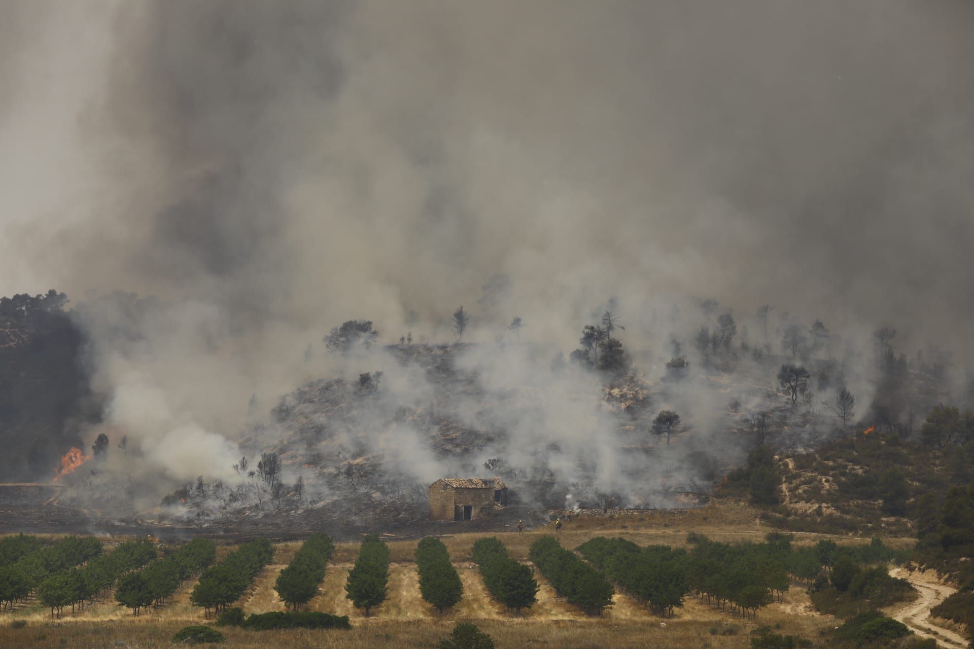 FOTOGALERÍA | El incendio forestal en Nonaspe, en imágenes