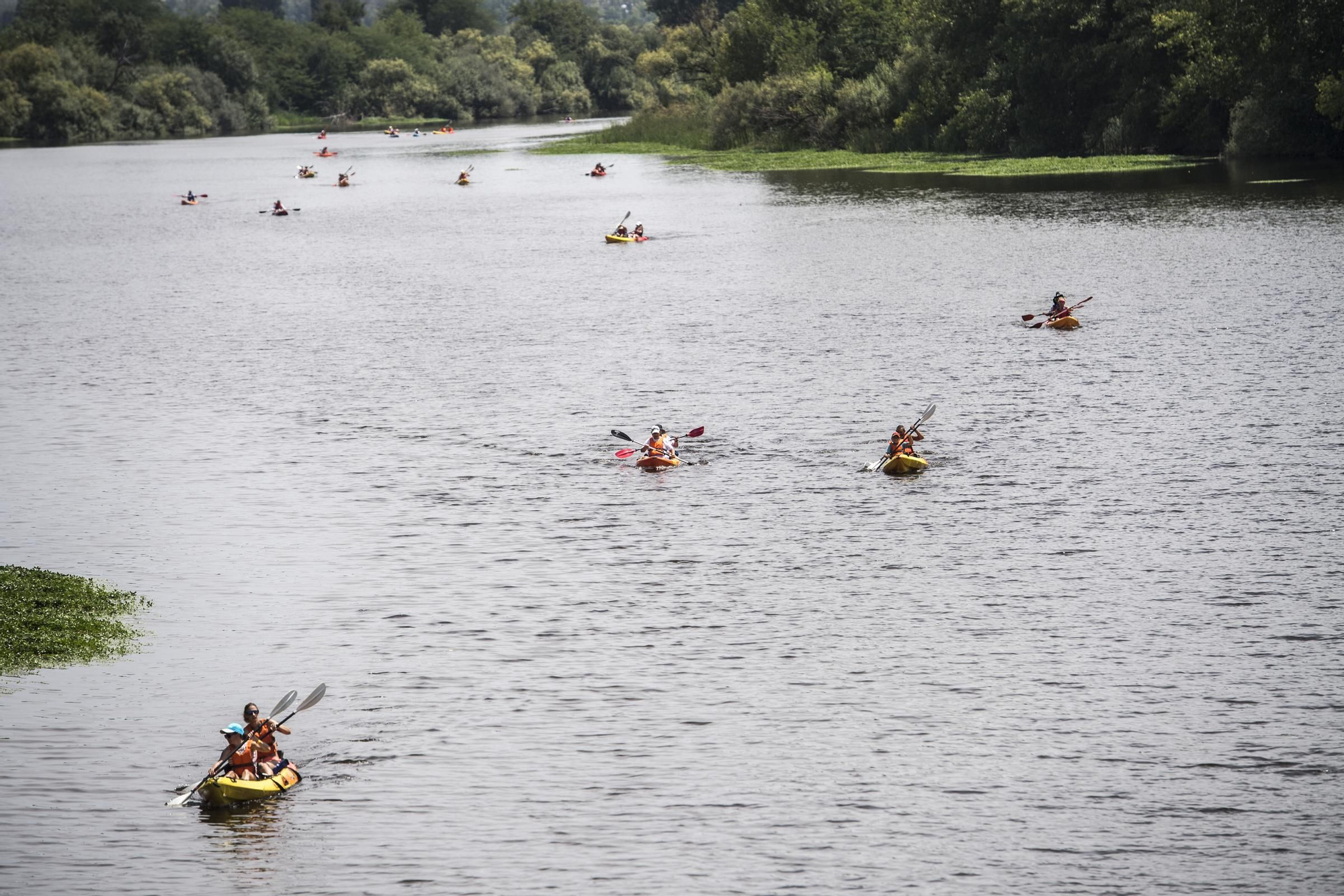 La XV edición del Descenso de Río Alagón, en imágenes