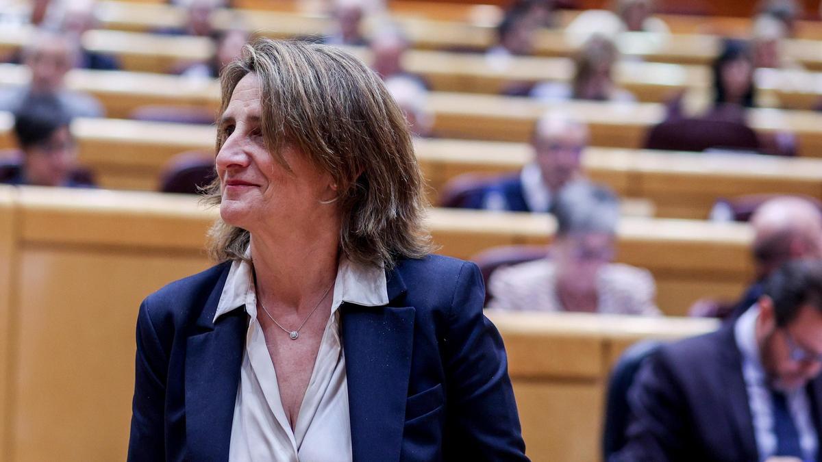 La vicepresidenta tercera y ministra para la Transición Ecológica y el Reto Demográfico, Teresa Ribera.