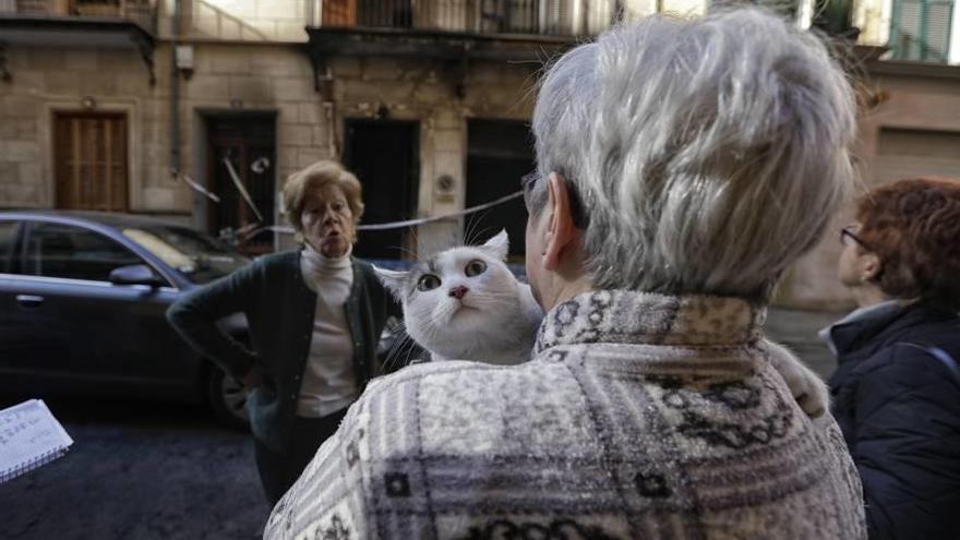 Bàrbara Mas, dueña de la vivienda afectada, sostiene en brazos al gato que sobrevivió al incendio.