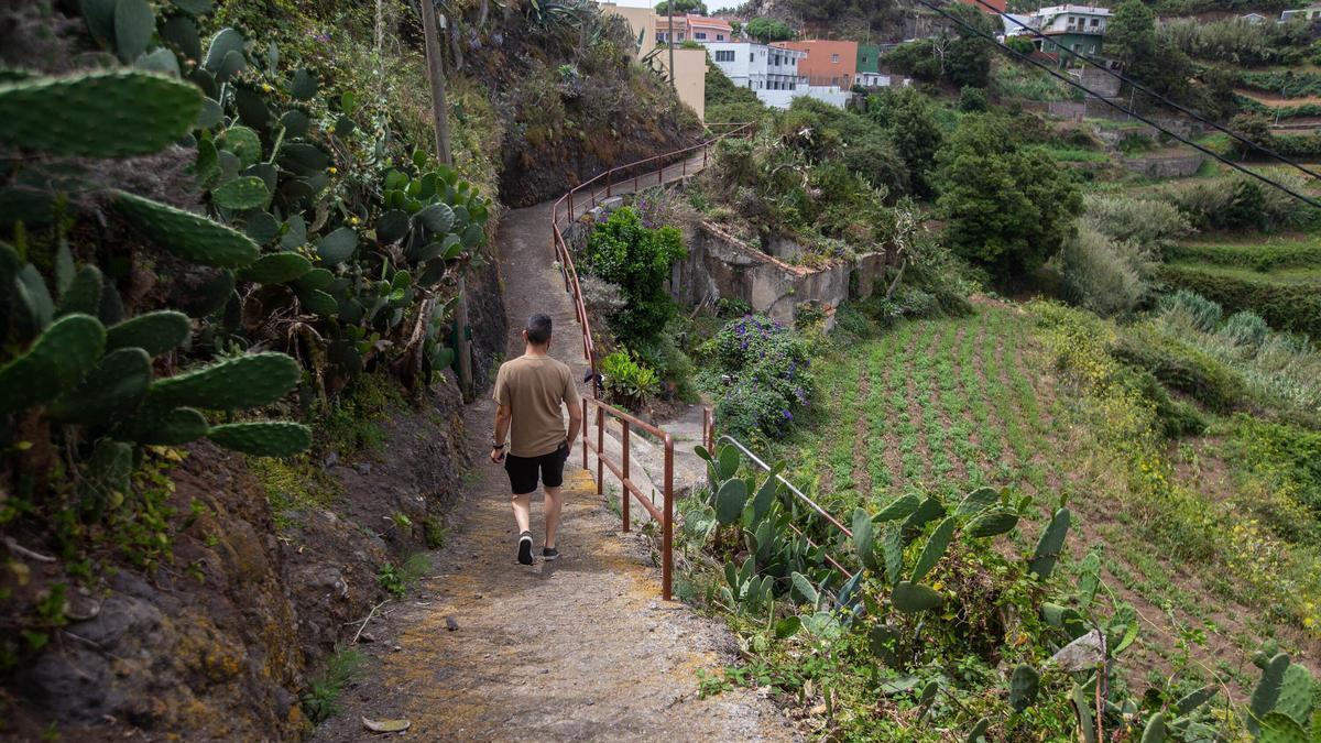 Un joven transita por uno de los senderos de Taborno.