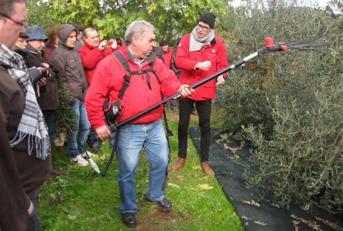 Agricultores de A Estrada que acaban de plantar olivos, ayer, en una plantación de Tomiño.