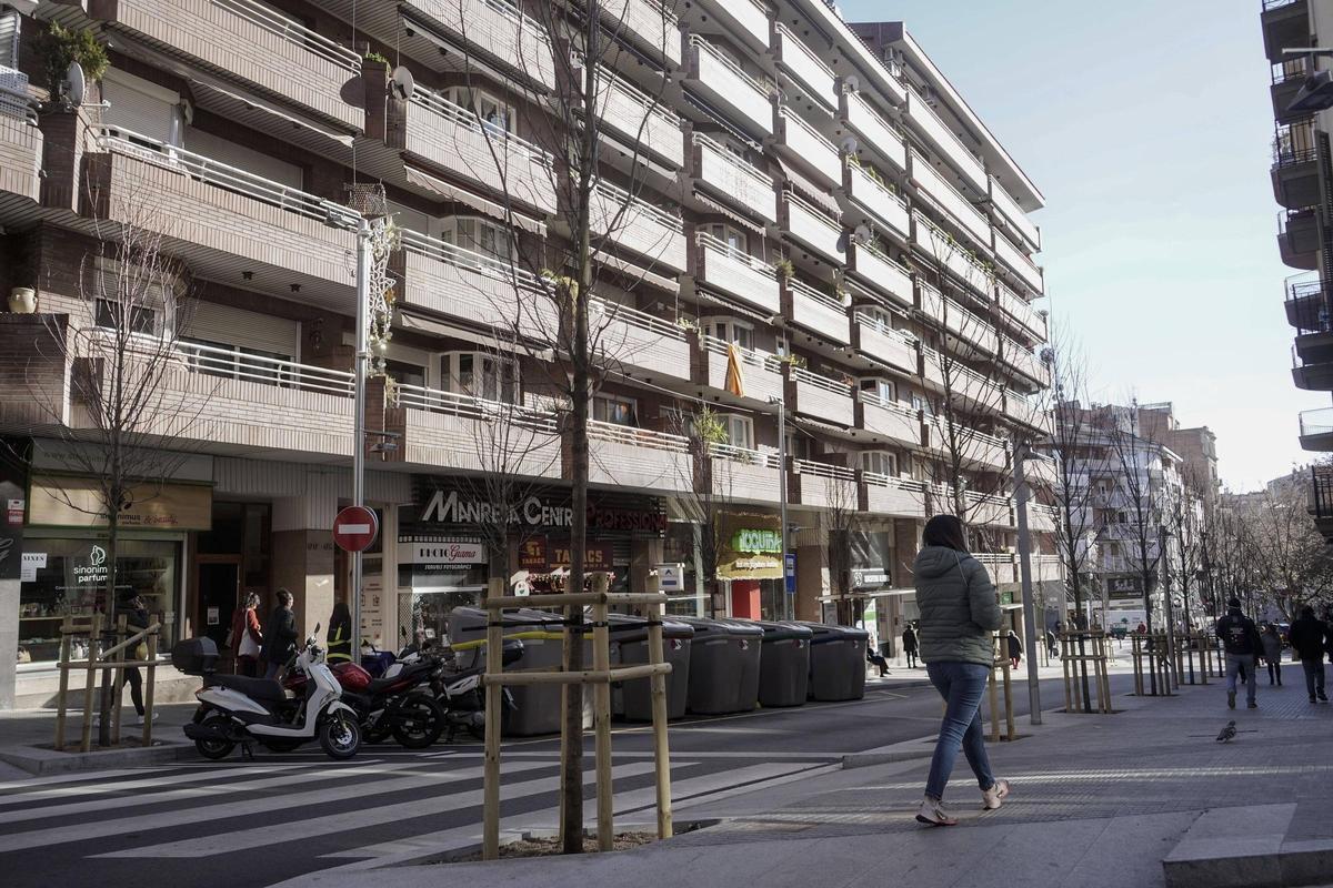 Arbres plantats al tram del carrer d'Àngel Guimerà entre la plaça de Neus Català i la de Lluís Companys