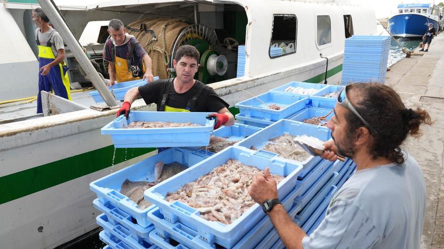 Buenas capturas y precios a la baja en el regreso de la pesca de arrastre en Castelló