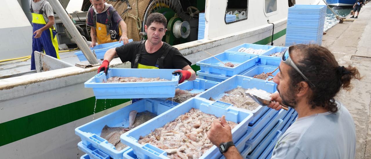 Llegada de las barcas de arrastre después de la veda.