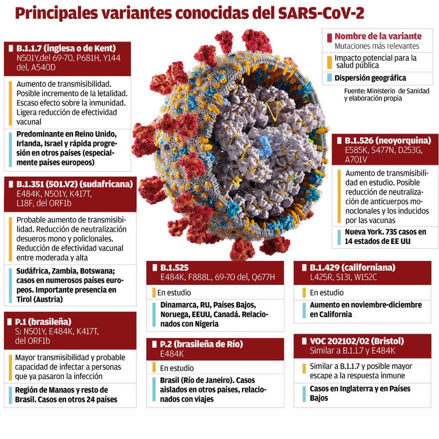 Principales variantes conocidas del SARS-CoV-2