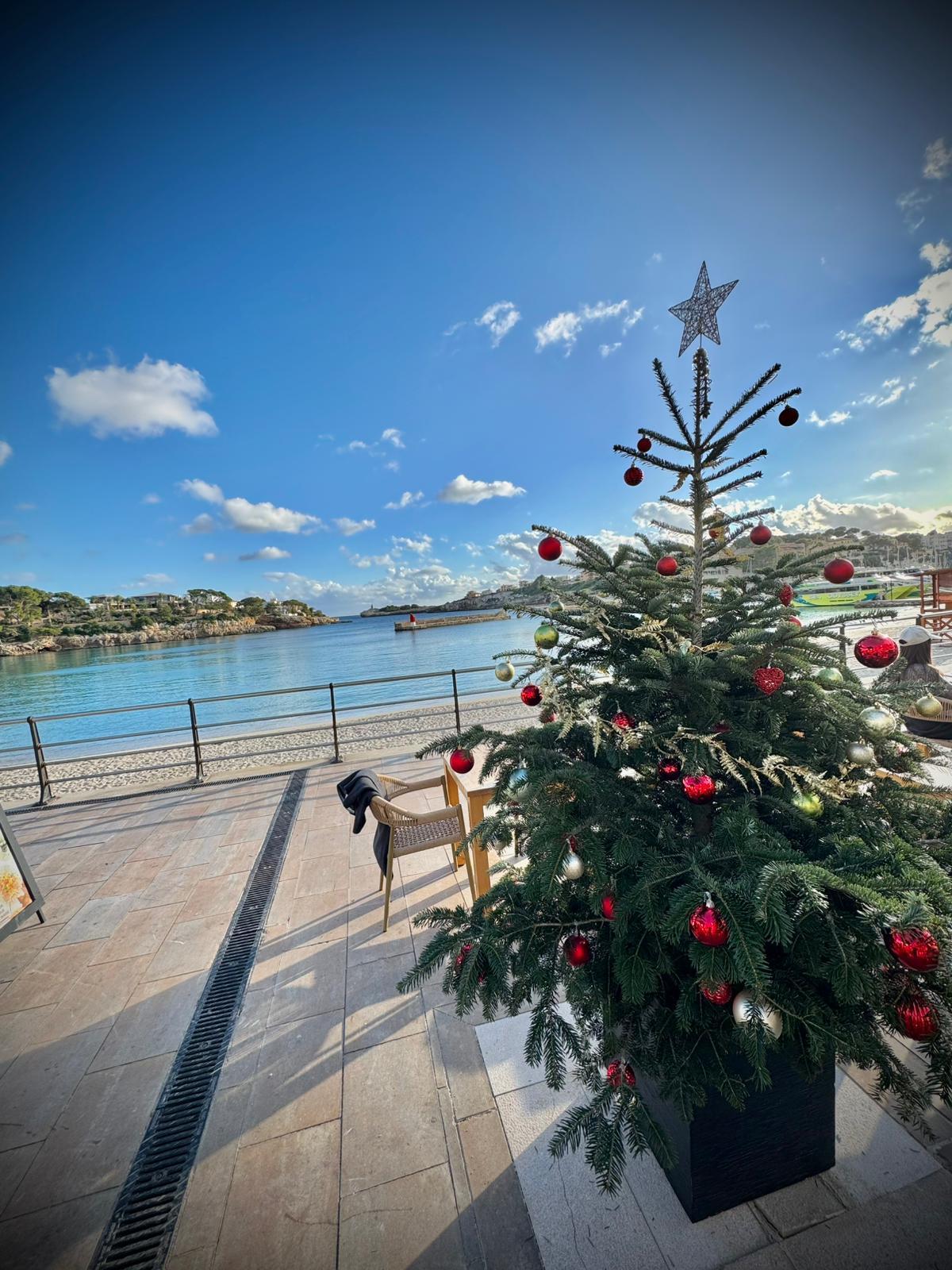 Die große Frage: Wie wird das Wetter an Weihnachten auf der Insel?