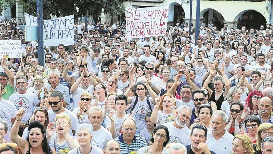 El pleno aprueba una moción de apoyo a los productores de cerezas