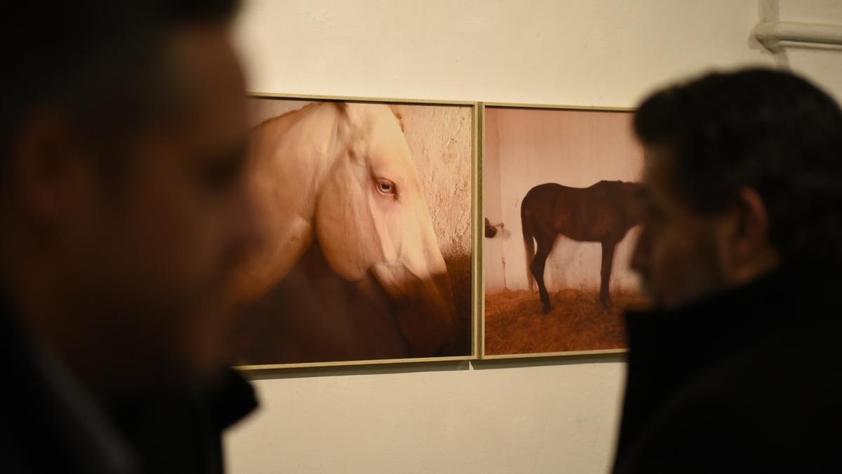 Fotografías expuestas en la facultad de Filosofía y Letras con motivo de la muestra 'Contemporarte'