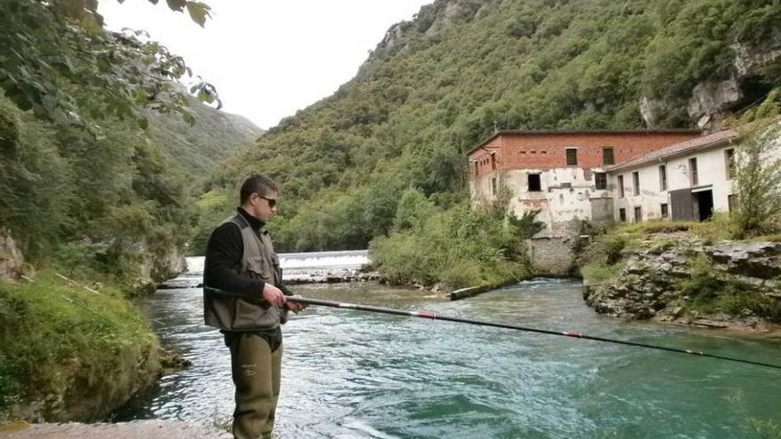 El pescador Diego Noriega, en el río Cares, con la presa de Niserias al fondo.