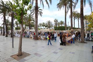 Los libros de Ibiza y los cuentos infantiles, las estrellas de Sant Jordi en Sant Llorenç y Sant Antoni