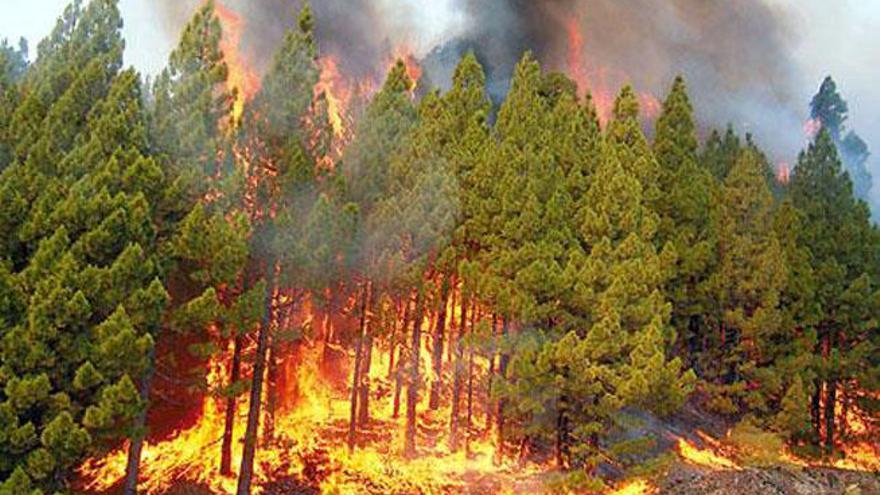 La Aemet alerta sobre incendios en Canarias