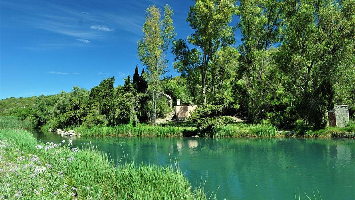 Parque natural del Marjal de Pego-Oliva