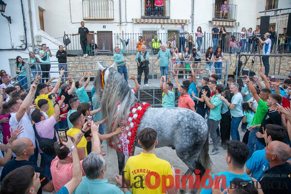 Entrega de premios del concurso morfológico de los Caballos del Vino de Caravaca