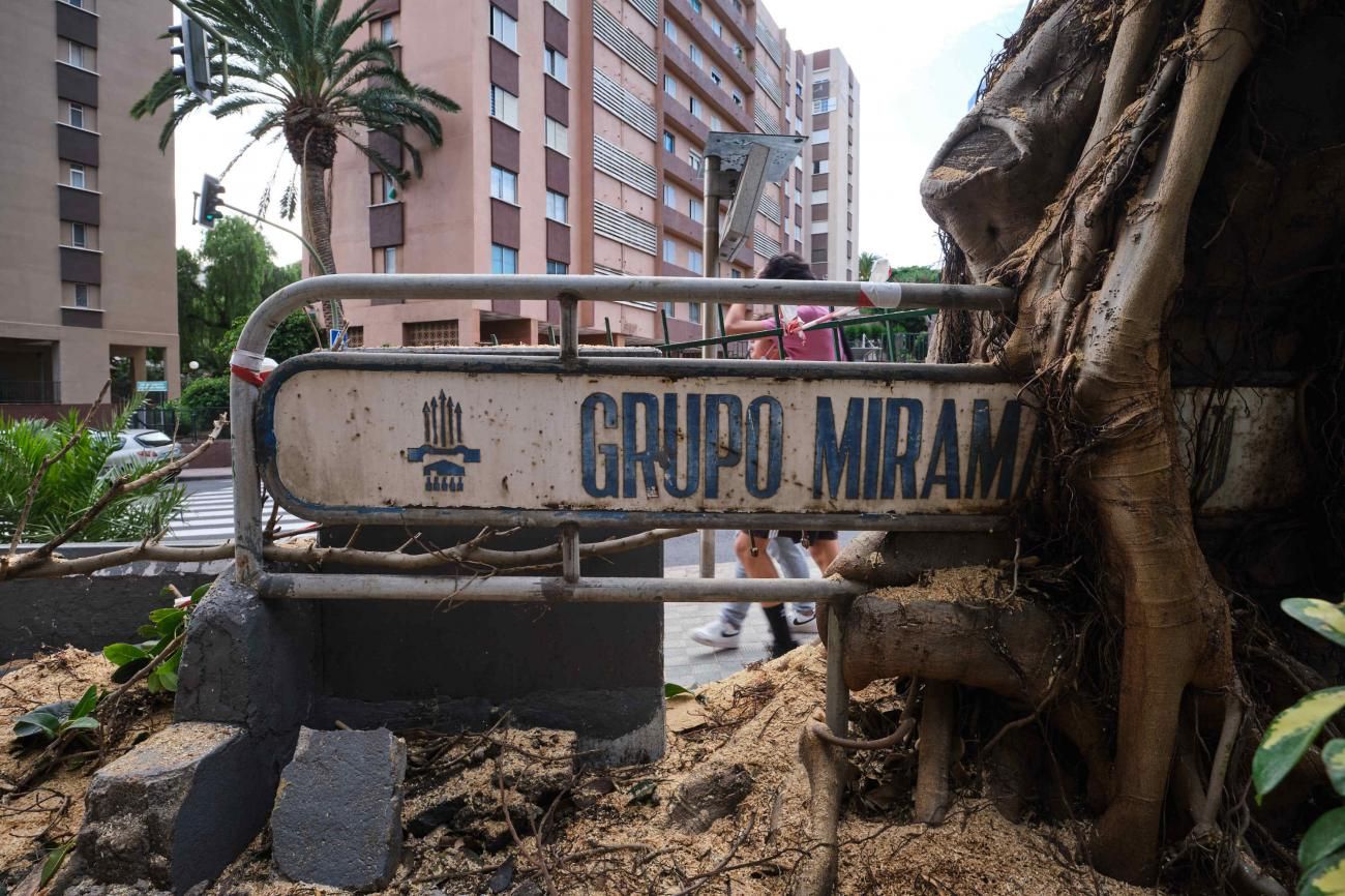 Cartel antiguo del barrio de Miramar que ha quedado entre las ramas de un árbol