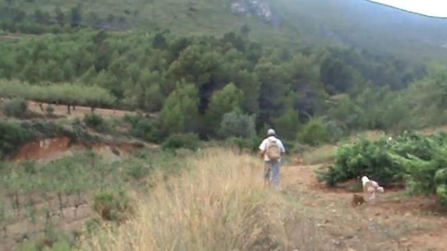 Un cazador muere tras un disparo fortuito de un compañero en Chiva