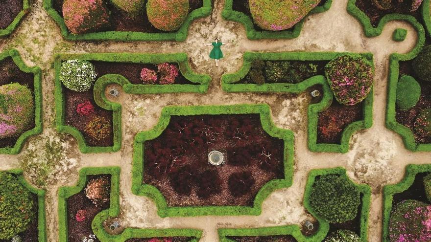 El jardín con más de 4.000 camelias que enamora a National Geographic: un mar de flores a media hora de Santiago