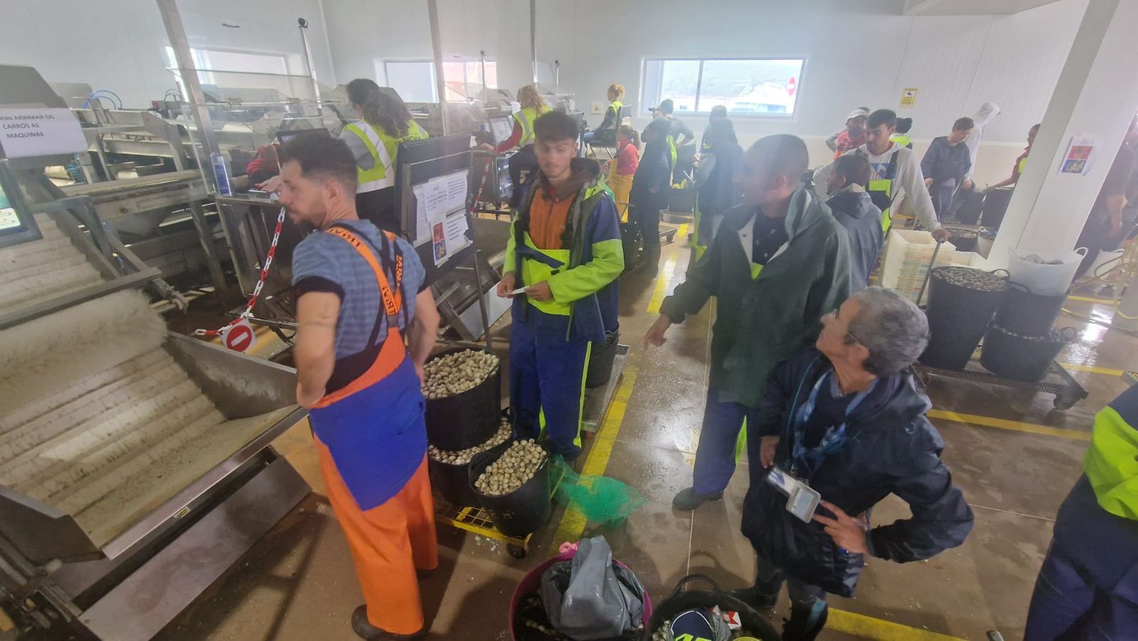 Así es el día a día en el puerto y la lonja de O Testal (Noia), donde cada vez se dan cita más mariscadores arousanos.