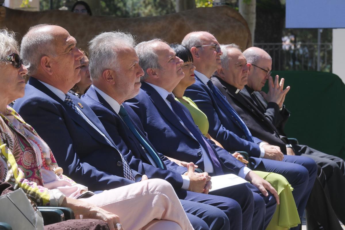 La Fiesta del Pino de Teror es declarada Fiesta de Interés Turístico Nacional