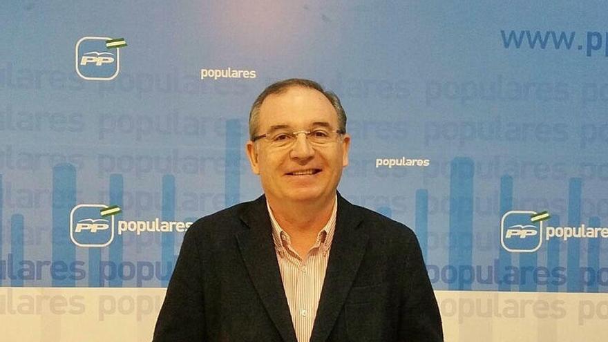 El portavoz del PP en Vélez Málaga, Francisco Delgado Bonilla.