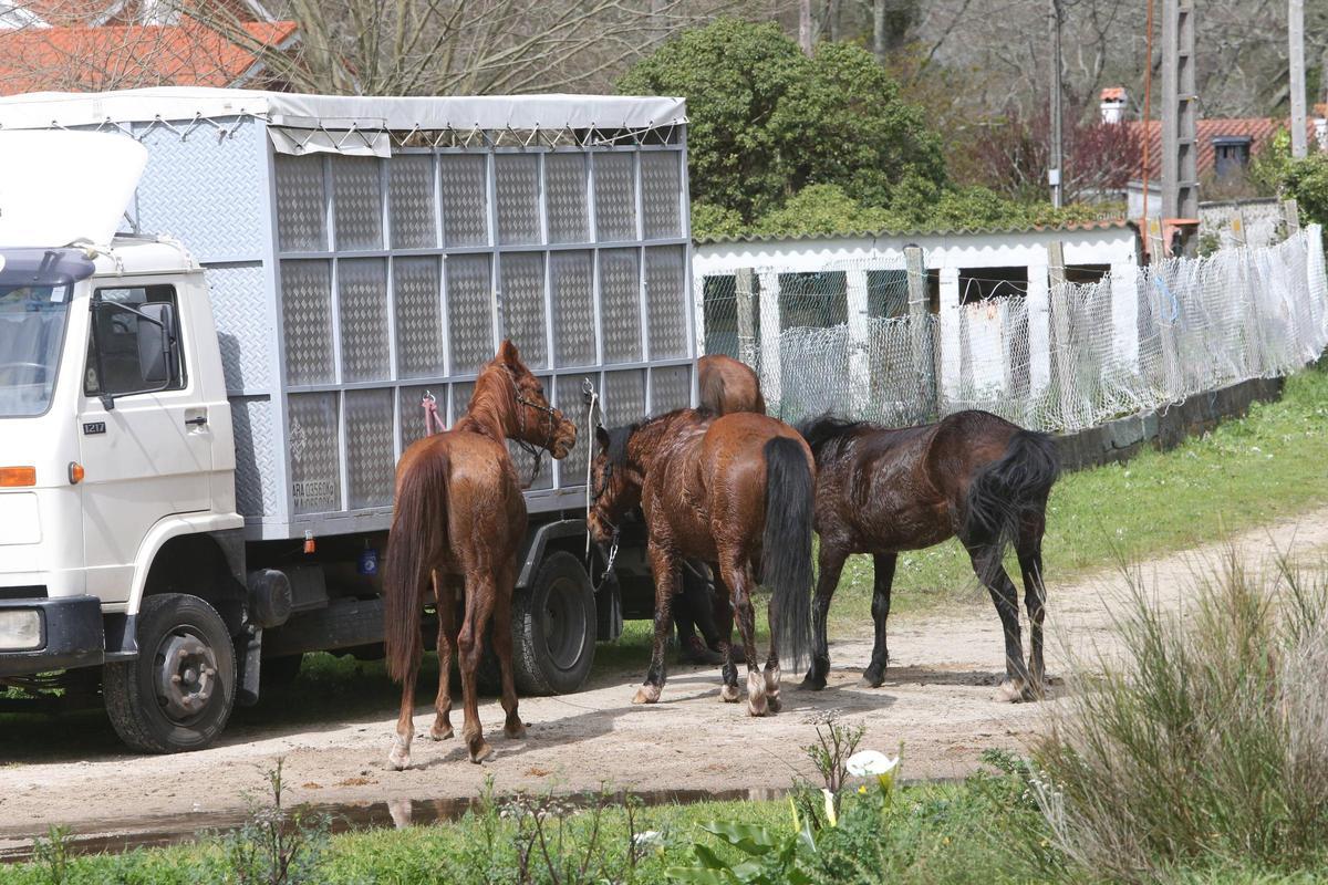 Participantes en la XIII Xuntaza Cabalar pola Costa