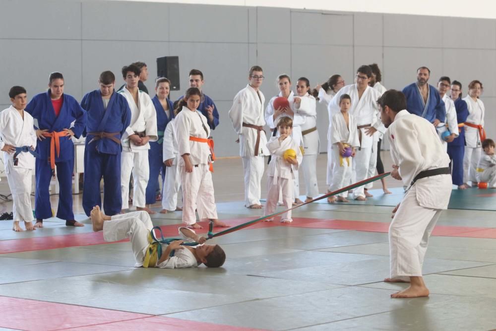 Judo para todos