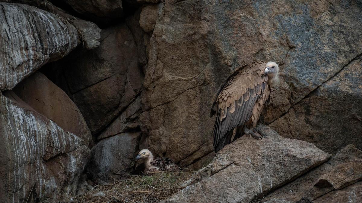 Mountain Actions: Why Your Impact Matters More Than You Think