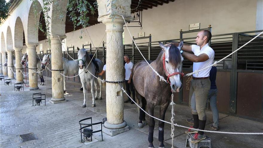 Un &quot;sí&quot; abierto al Centro del Caballo