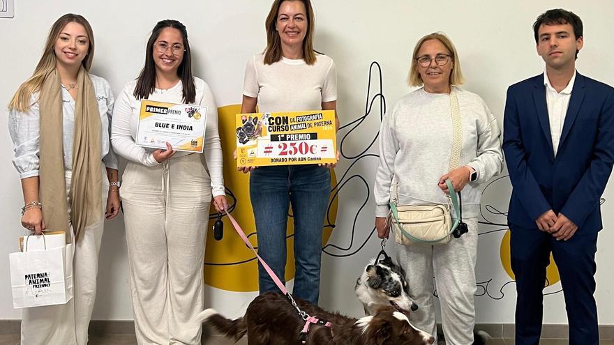 Estos son los perros y gatos más fotogénicos de Paterna