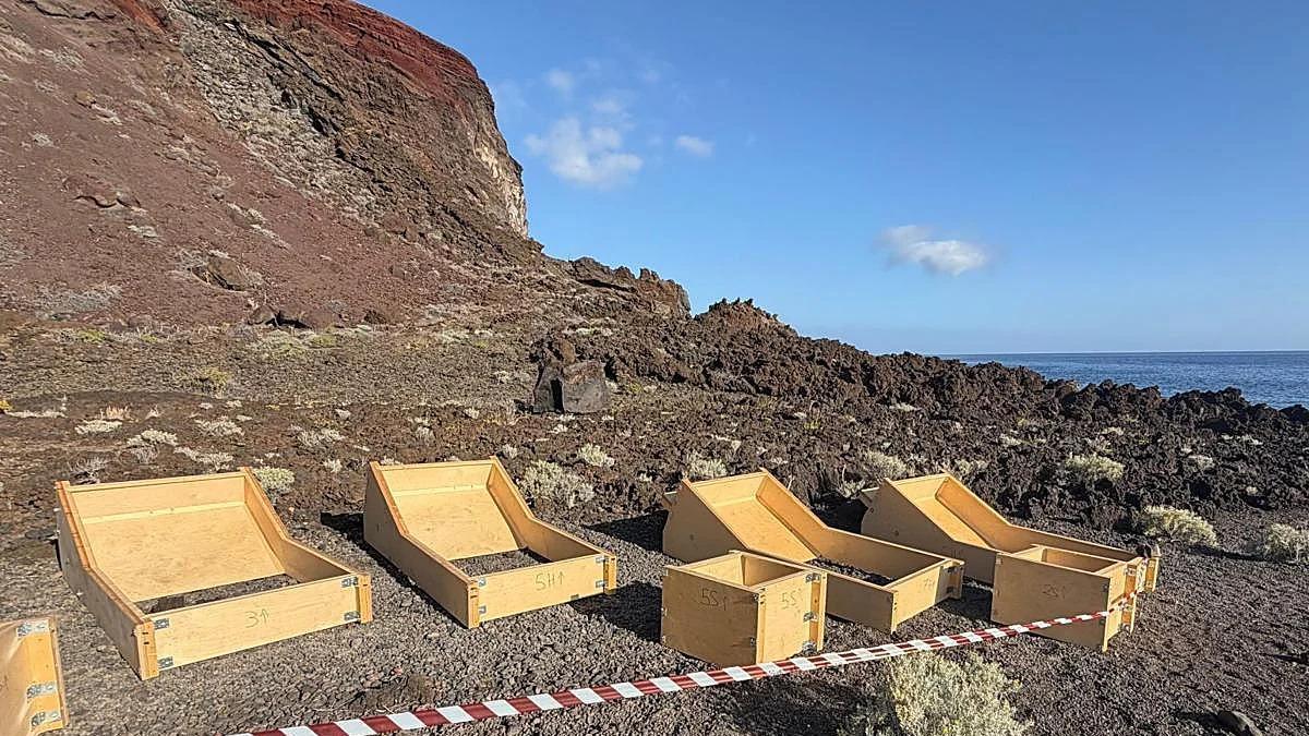 Imagen de los moldes de madera preparados para la construcción de las hamacas y ya retirados de la zona