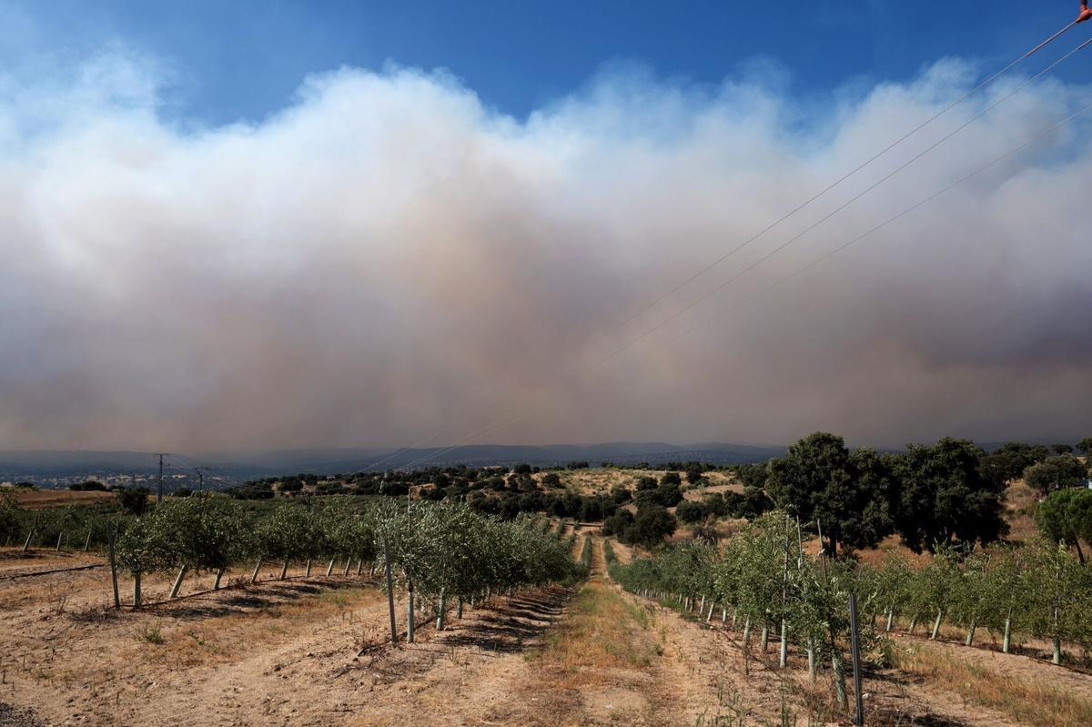 Smoke from wildfires beyond fields on the skyline in Villamanta, southwest of Madrid, Spain, on Friday, July 24, 2026. More than 200,000 people fled towns in central Spain and southern France overnight as uncontrolled wildfires moved ever closer to the cities of Madrid and Bordeaux. Photographer: Emilio P. Doiztua/Bloomberg