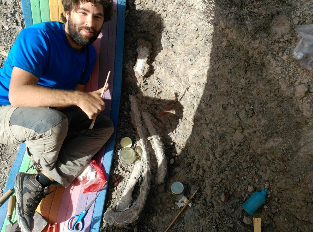 El paleontólogo Eduardo Medrano Aguado junto a varias costillas del dinosaurio ya protegidas antes de su extracción.