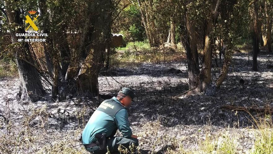 La Guardia Civil investiga a dos personas como supuestos autores de estos dos fuegos forestales en Zamora