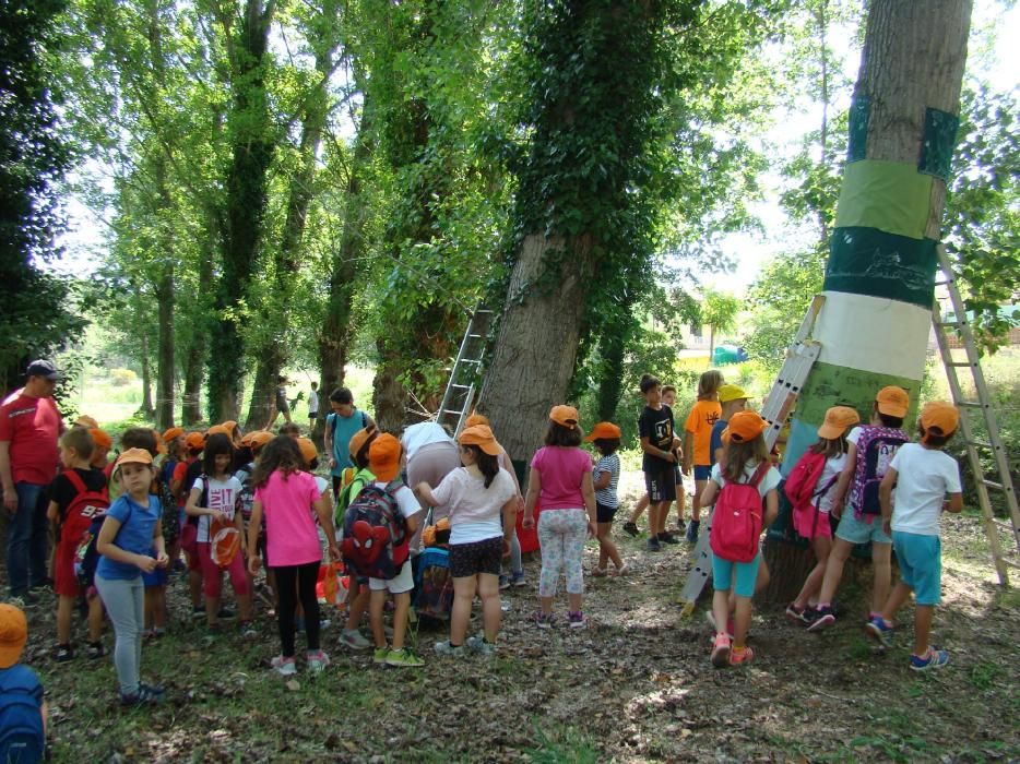 Infants de Sant Salvador creen el 'bosc de l'alegria'