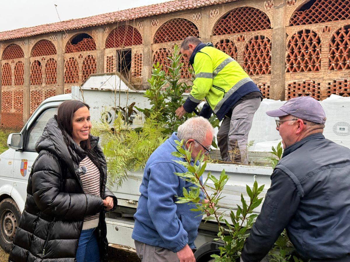 Campaña de arbolado 2026