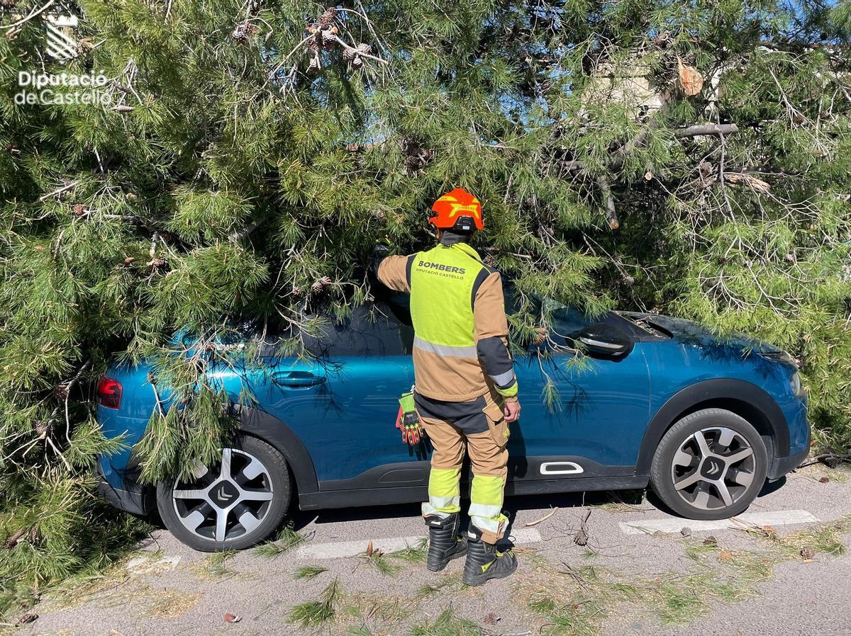 Los bomberos de Castellón trabajando en una de las actuaciones por el fuerte viento.